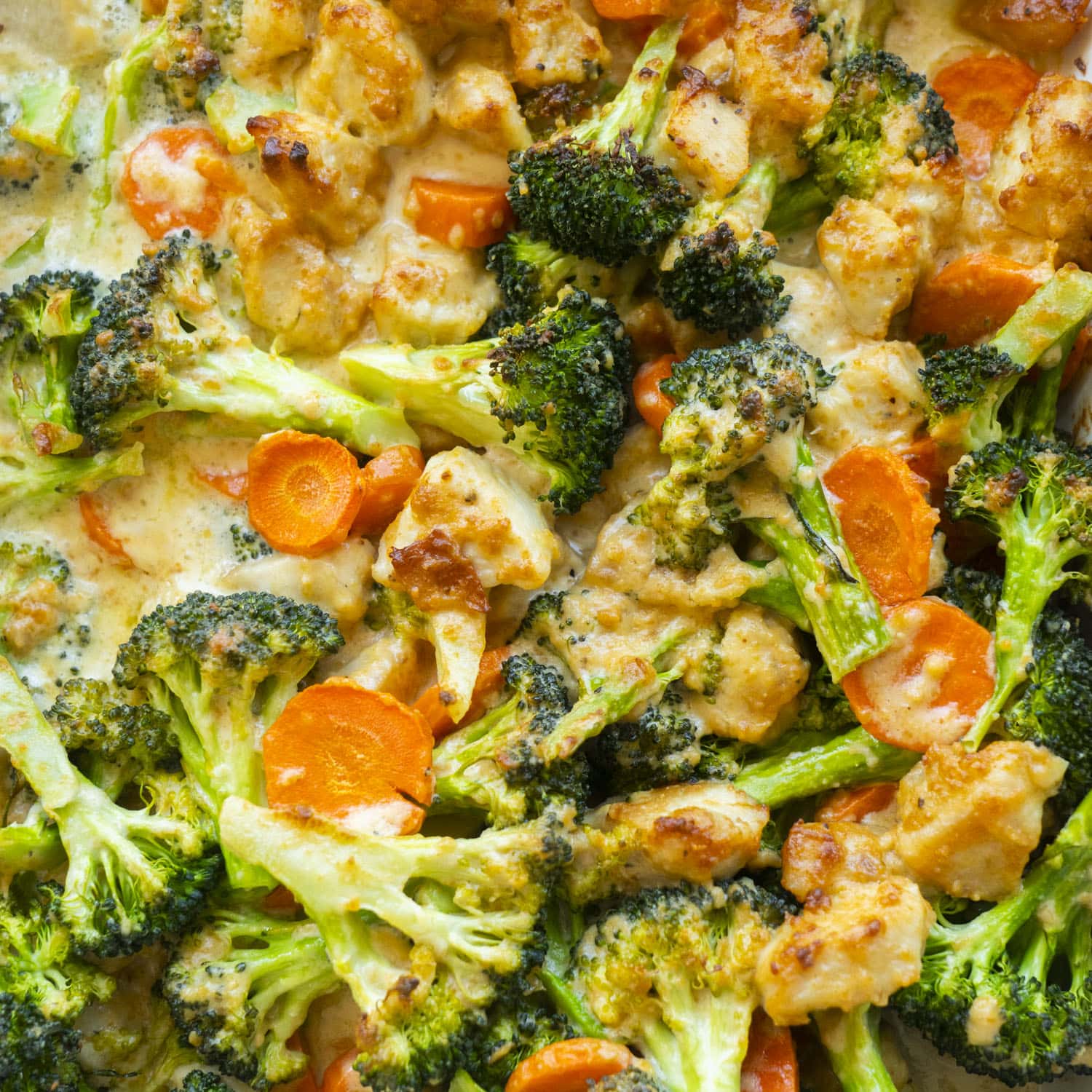 Easy Cheesy Chicken & Broccoli Bake with Creamy White Sauce